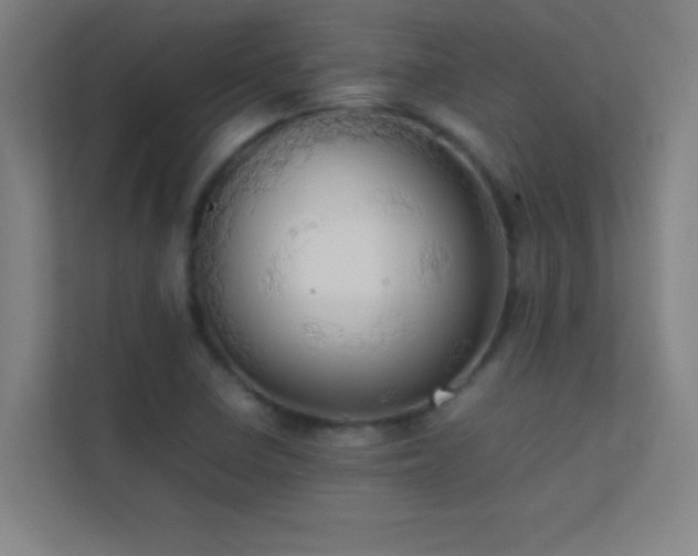 X0000113851410200909241238