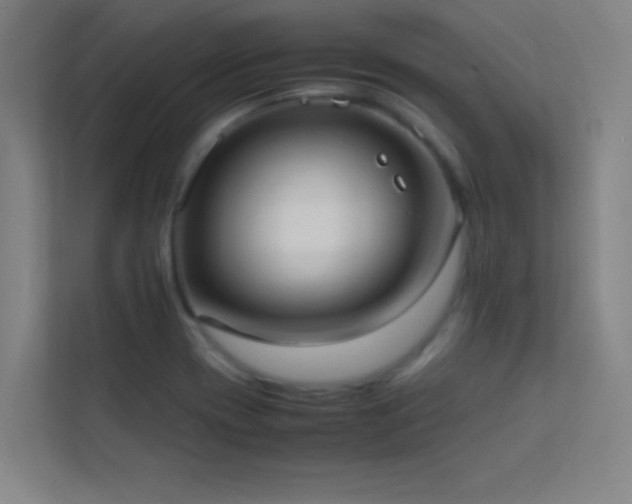 X0000113851417200909241238