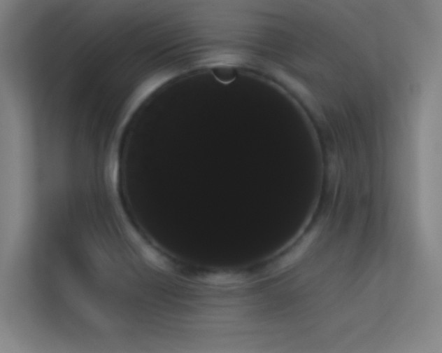 X0000113851418200909241238