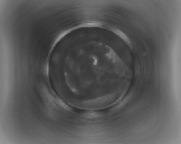 X0000113851420200909241238