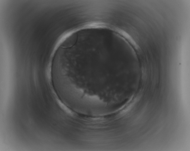 X0000113851421200909241238