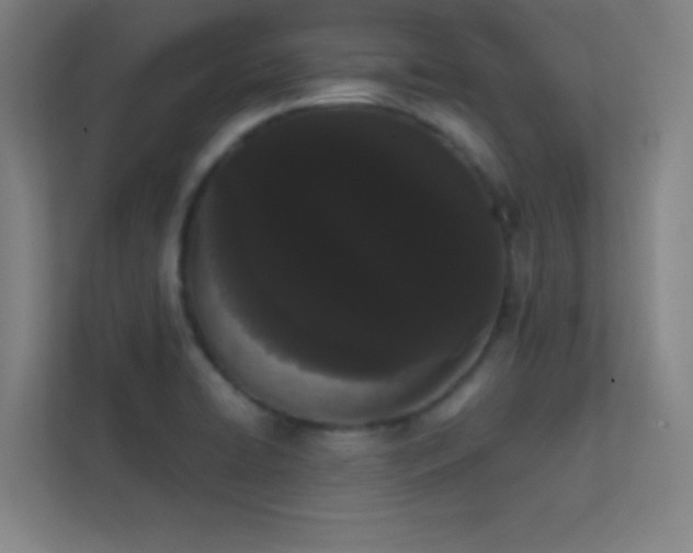 X0000113851422200909241238