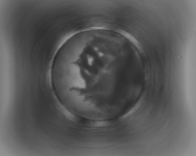 X0000113851423200909241238