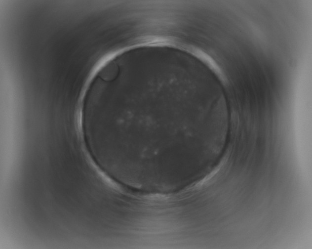 X0000113851424200909241238