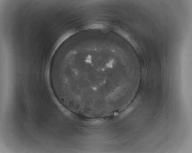 X0000113851426200909241238