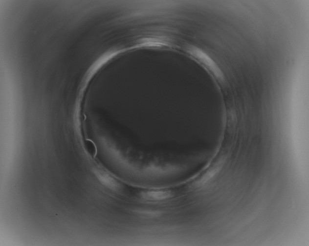 X0000113851427200909241238