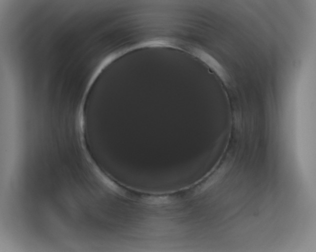 X0000113851428200909241238