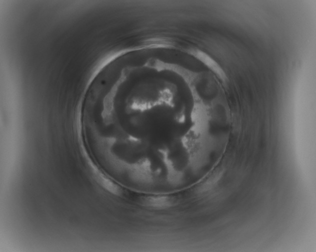 X0000113851431200909241238