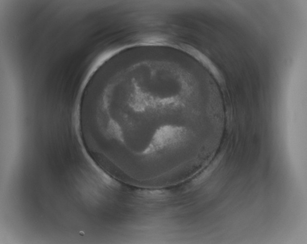 X0000113851432200909241238