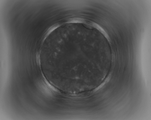 X0000113851433200909241238