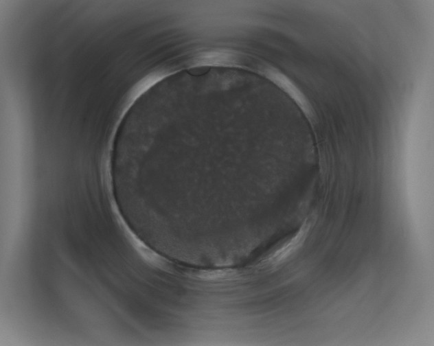 X0000113851434200909241238