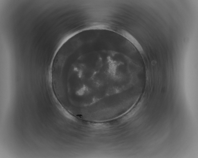 X0000113851436200909241238