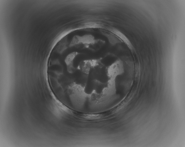 X0000113851439200909241238