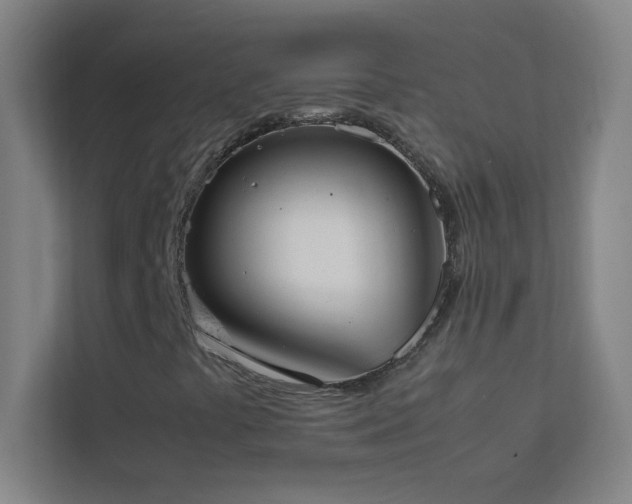 X0000113851441200909241238