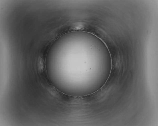 X0000113851442200909241238