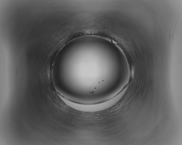 X0000113851444200909241238