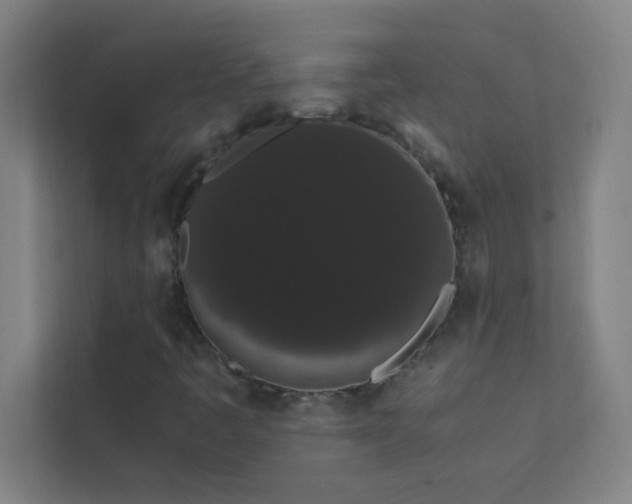 X0000113851445200909241238