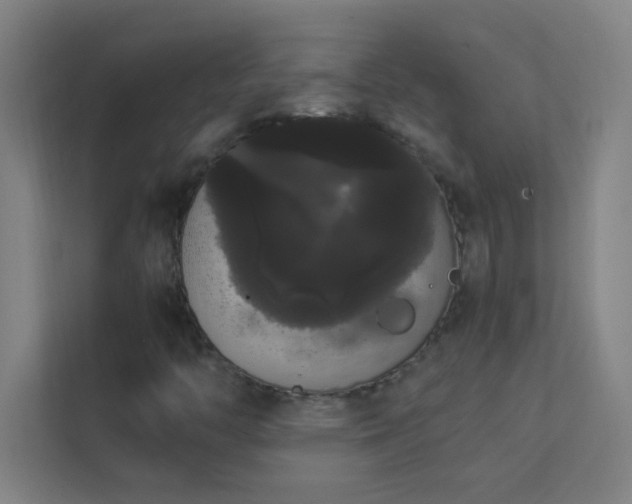 X0000113851446200909241238