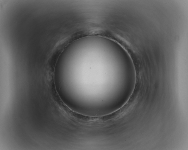 X0000113851447200909241238