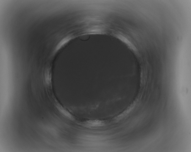 X0000113851450200909241238