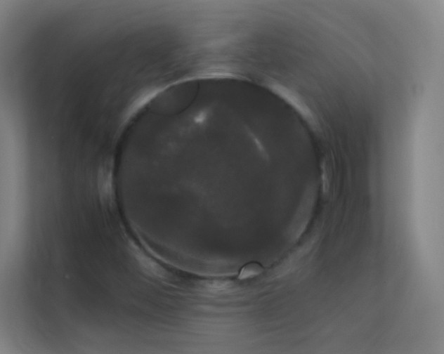 X0000113851452200909241238