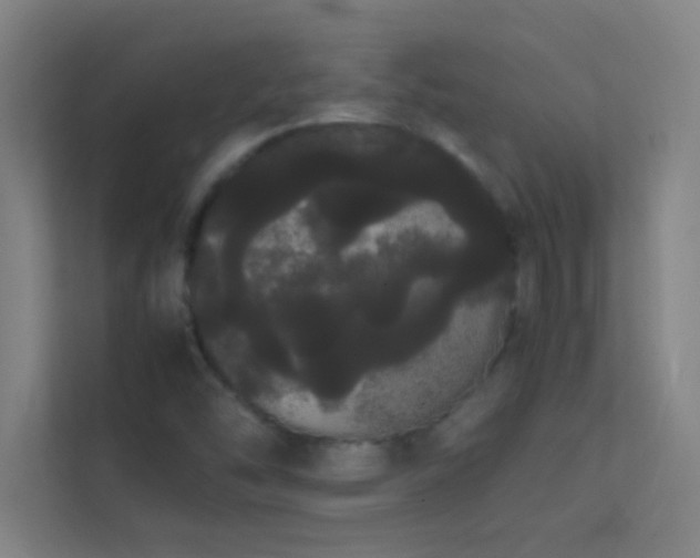 X0000113851454200909241238