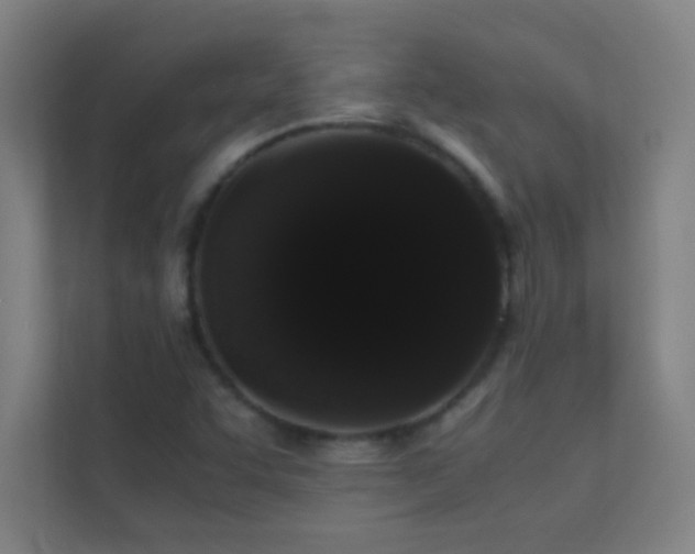 X0000113851455200909241238