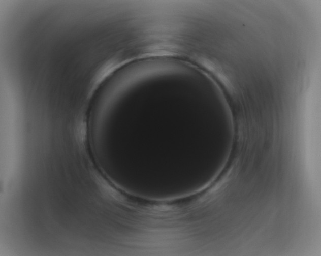 X0000113851459200909241238