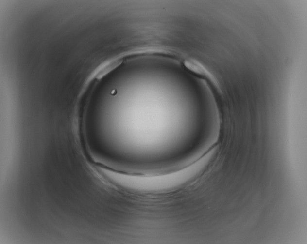 X0000113851460200909241237