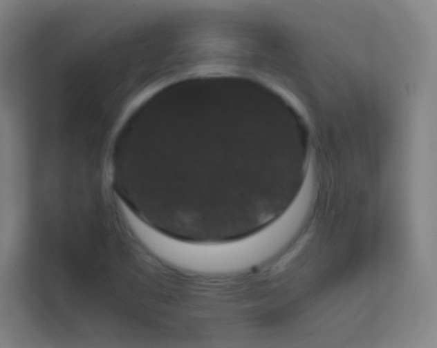 X0000113851461200909241237