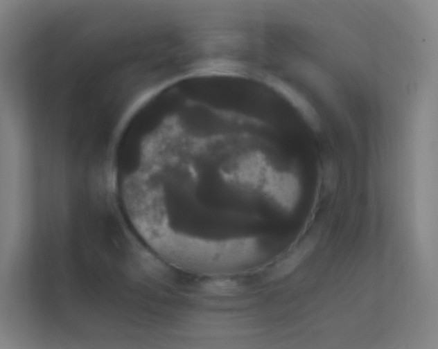 X0000113851462200909241237