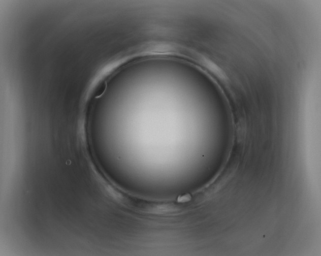 X0000113851464200909241237