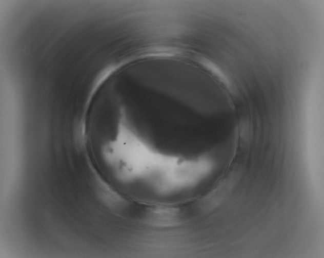 X0000113851466200909241237