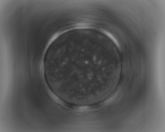 X0000113851467200909241237