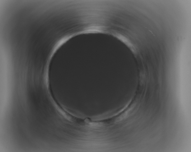 X0000113851469200909241237