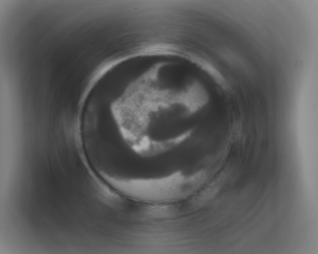 X0000113851470200909241237