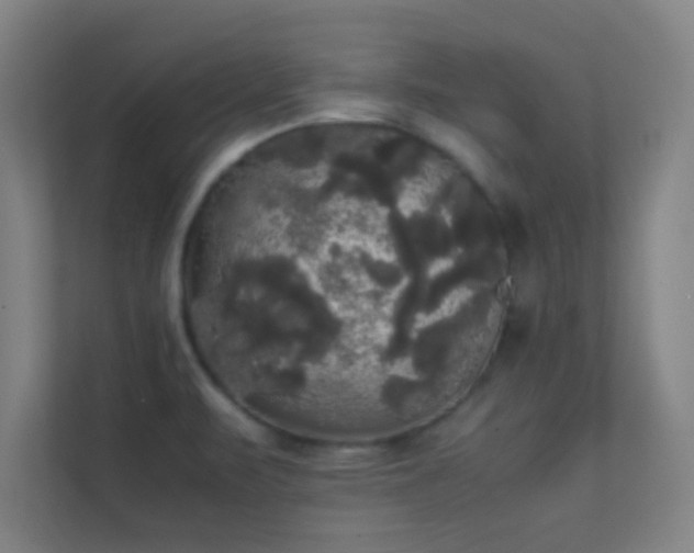 X0000113851471200909241237