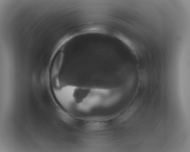 X0000113851474200909241237