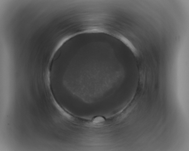 X0000113851476200909241237