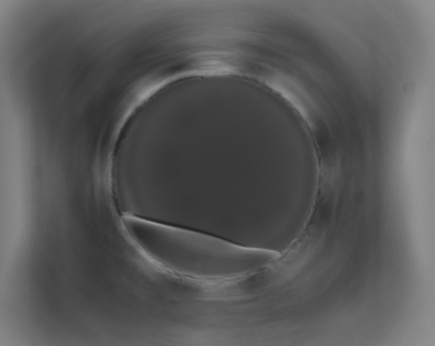 X0000113851477200909241237