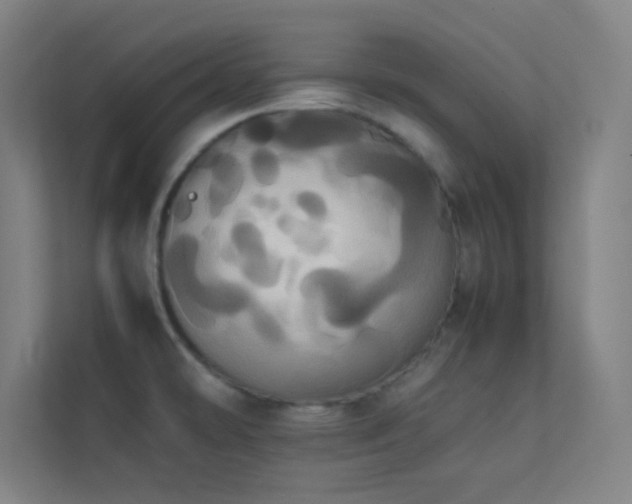 X0000113851478200909241237