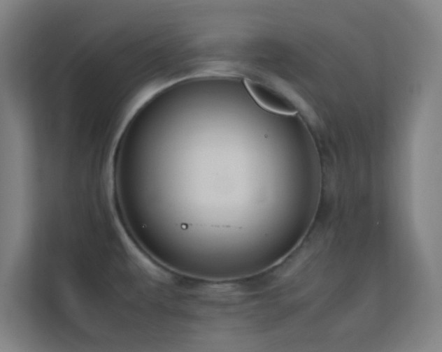 X0000113851479200909241237