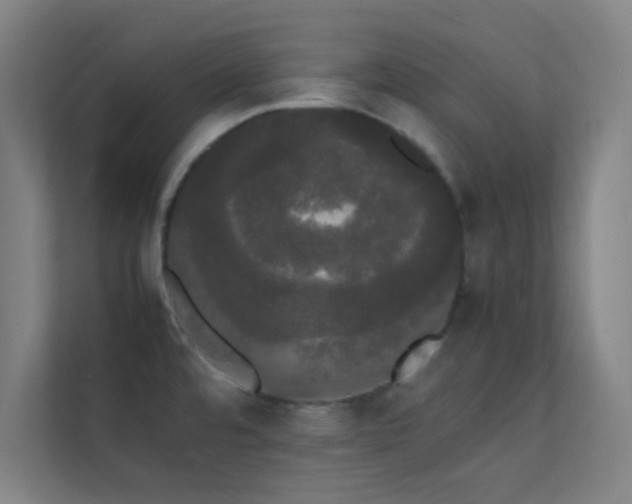 X0000113851480200909241237