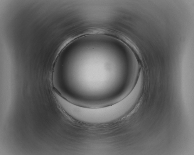 X0000113851481200909241237