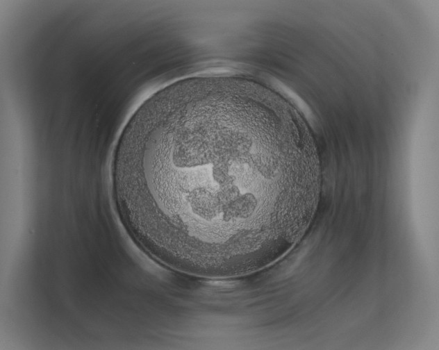 X0000113851483200909241237