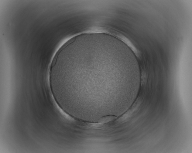 X0000113851484200909241237