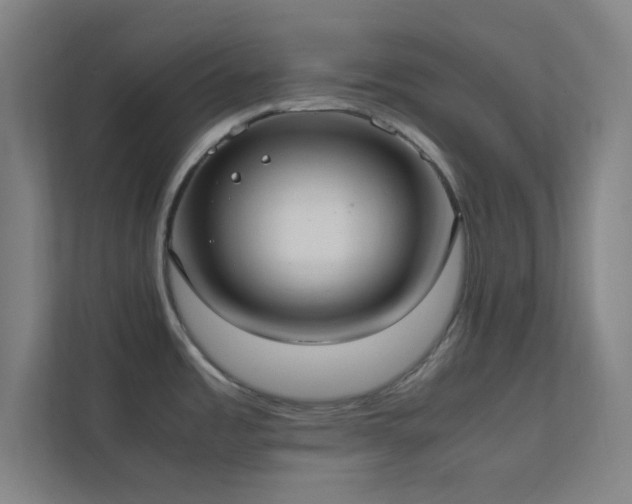 X0000113851485200909241237