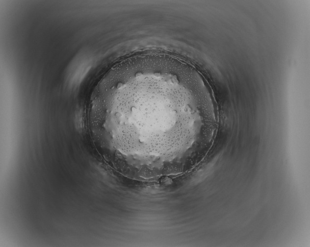 X0000113851490200909241237