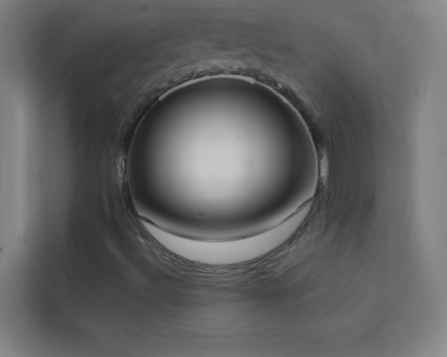 X0000113851492200909241237