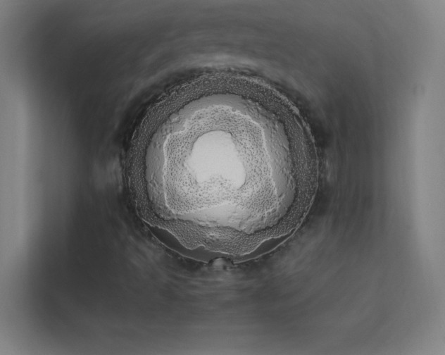 X0000113851493200909241237